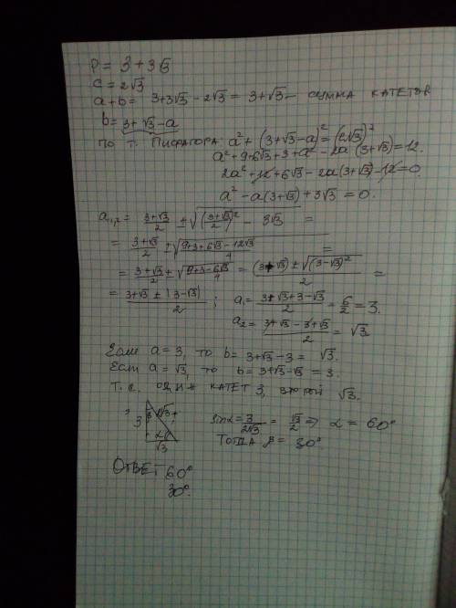 Найдите острые углы прямоугольного треугольника, если его гипотенуза равна 2√3, а периметр равен 3(1