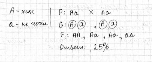 Дигибридное скрещиваниеУ уток хохлатость доминирует над отсутствием хохла. Определите вероятность (