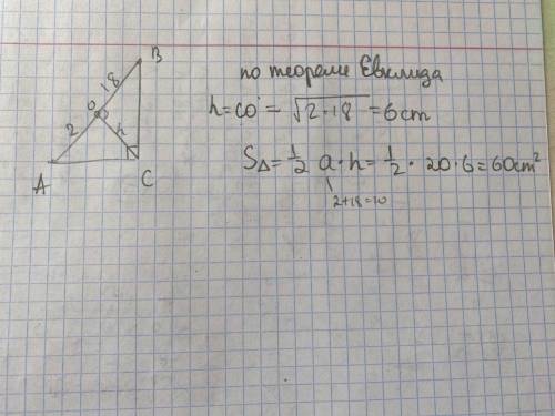 Найдите площадь прямоугольного треугольника, у которого проекция катетов на гипотенузу равны 2 см и