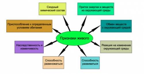 Признаки характеризующие первые живые организмы появившиеся на земле