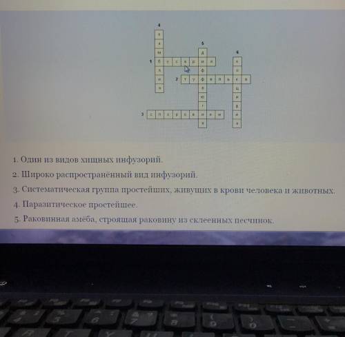 Составьте кроссворд из 5 слов с заданиями на тему «Одноклеточные». Все слова кроссворда в именительн