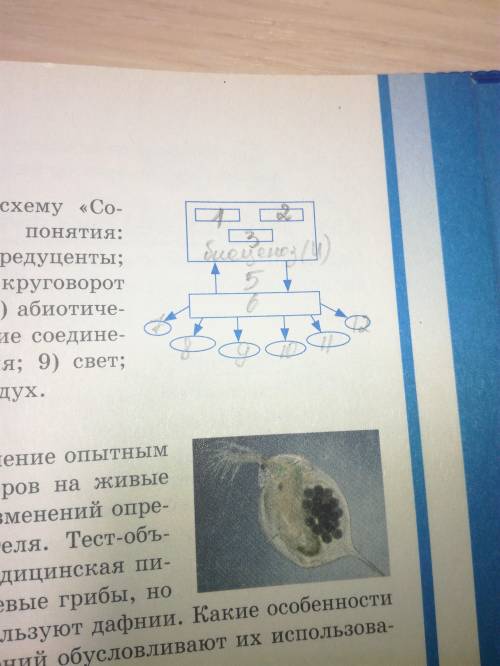 Заполните в рабочей тетради схему «Состав экосистемы», используя понятия: 1) продуценты; 2) консумен