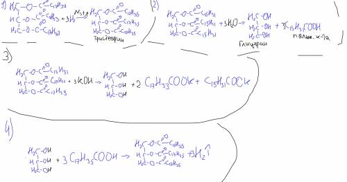 1. Триолеин+Н2 2.трипальмитин+Н2О 3.пальмитодиолеин+КОН 4.глицерин+3С17Н35ООН 5. Какую массу тристеа