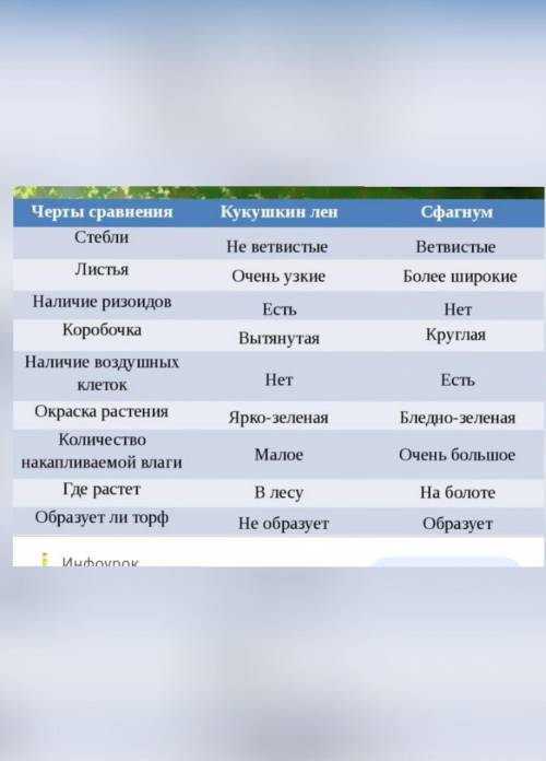 3. Таблица «Листостебельные мхи» Признаки Кукушкин лён Сфагнум