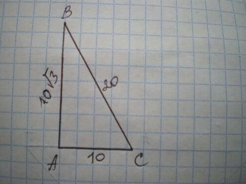 Прямокутний трикутник, один із катетів якого дорівнює 10 см, а гіпотенуза - 20 см..Знайдіть площу