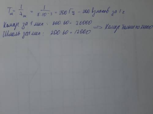 Решите задачу Частота колебаний крыльев комара – 600 Гц, а период колебаний крыльев шмеля – 5 мс. Ка