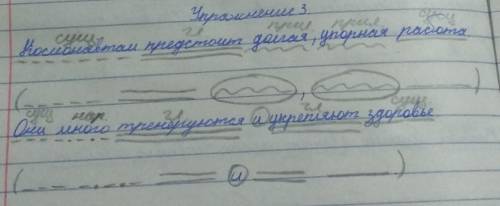 3. Выпиши предложения с однородными членами. Выполни син-таксический разбор. Составь схемы этих пред