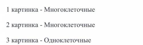 Изучите картинки с изображением различных групп бактерий, животных и растений с одной и несколькими