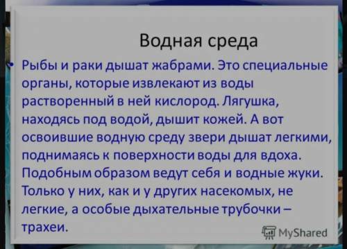 Каким образом при к жизни обитатели поверхности воды?