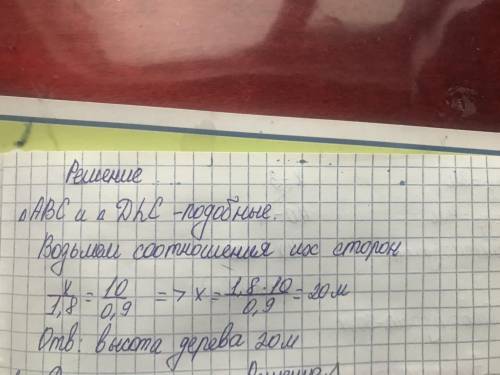 Бойы 1,8 м адамның шуақты күндегі жерге түсетін көлеңкесінің ұзындығы 90 см , ал ағаштың көленкесі 1