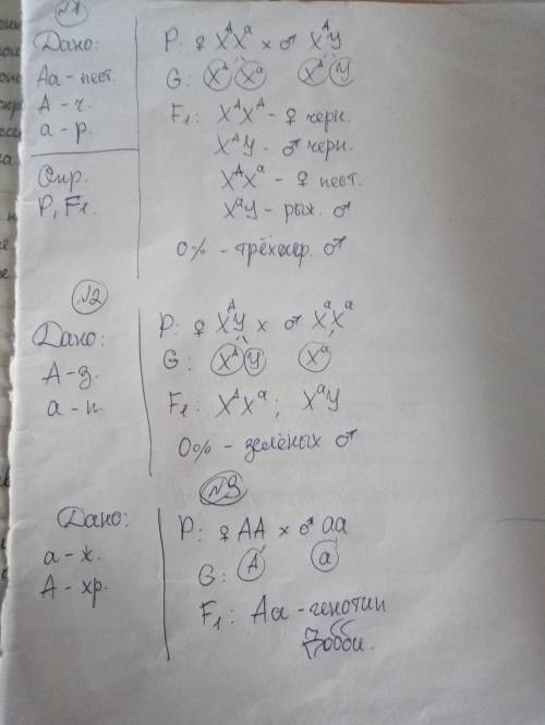 Задача 1. У Кошек гены рыжего и черного цвета аллельны и локализованы в Х-хромосоме. Они передаются