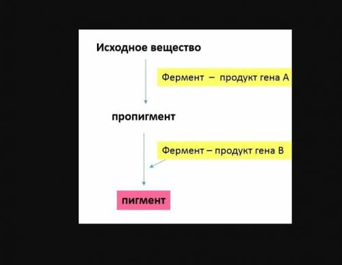 с биологией! При скрещивании растений гороха, имеющих жёлтые семена, появились растения с жёлтыми и