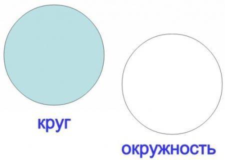 Окружность и круг, это одно и тоже?