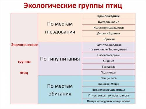 экологические группы ПТИЦ: 1) экологическая группа 2) признаки группы 3) представители ТАБЛИЦА
