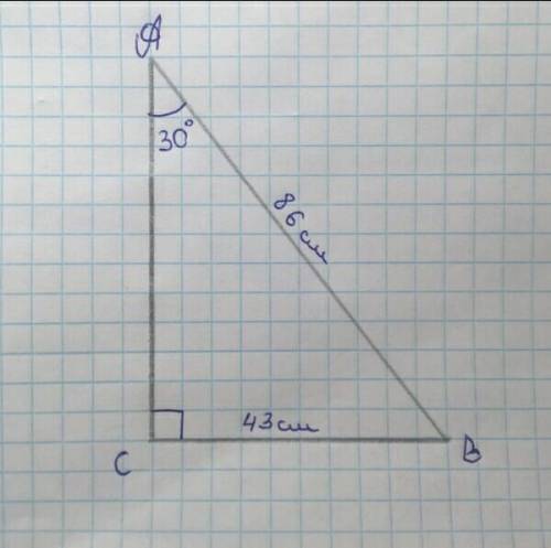 В прямоугольном треугольнике АВС ∠А=30º. Найдите катет СВ,если гипотенуза АВ = 86см