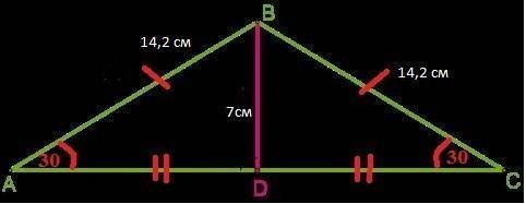 В равнобедренном треугольнике ABC проведена высота BD к основанию AC.Длина высоты — 7,1 см, длина бо
