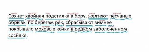 Сохнет хвойная подстилка в бору, желтеют песчаные обрывы по берегам рек, сбрасывают зимнее покрывало