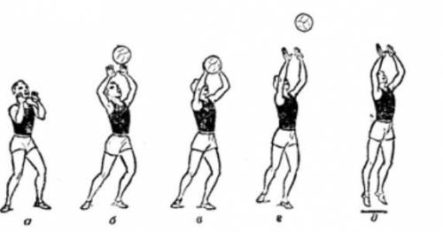 Напишите доклад на темуВолейбол. Техника верхней и нижней передачи