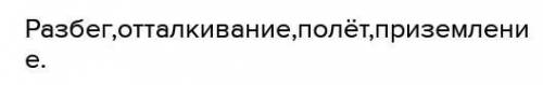 Напишите 4 фазы прыжка в длину с разбега.