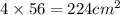 4 \times 56 = 224 {cm}^{2}