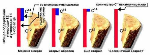 Физика, 9 класс ответить на во Как, зная период полураспада можно определить на сколько давно жили