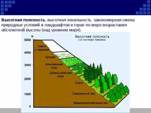 Как изменяется растительность гор от подножия до вершин? что с верху и ниже? 1.Травянистые растения(