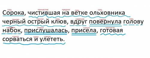 Синтаксический разбор предложения . .Сорока чистившая на ветке ольховника черный острый клюв вдруг п