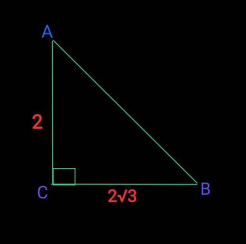 Знайдіть кути прямокутного трикутника катети якого дорівнюють 2см і 2√3​