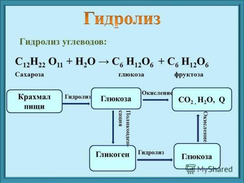 При гидролизе глюкозы образуется фруктоза а) верно б) неверно