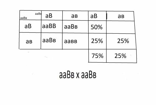 Сделать решетку Пеннета из : aaBb x aaBb и решить ее.