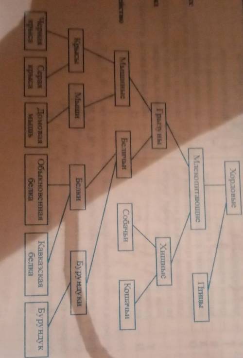 2. На какие группы подразделяют современных млекопитающих?