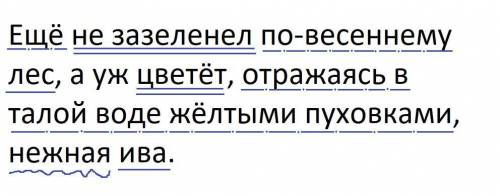 ПУНКТУАЦИОННЫЙ РАЗБОР ПРЕДЛОЖЕНИЯ -Ещё не зазеленел по-весеннему лес, а уж цветёт, отражаясь в талой