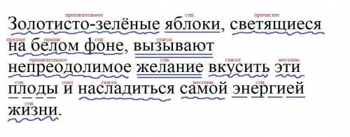 Синтаксический разбор осложнённого предложения: Золотисто-зелёные яблоки, светящиеся на белом фоне,