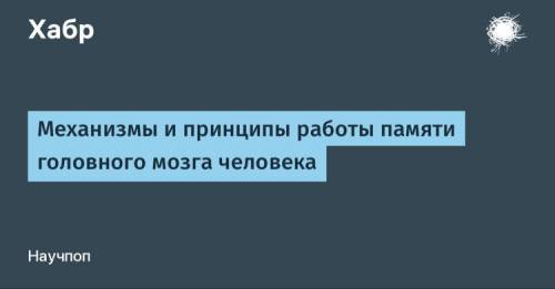 Как называется механизм для изучения электрических процессов мозга?