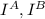 I^{A} ,I^{B}
