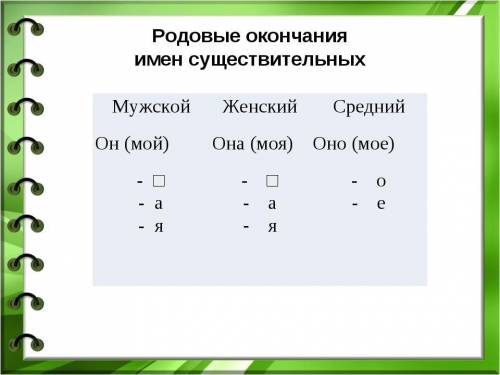 В какой морфеме (в какой части слова) выражен грамматический признак рода у имен существительных