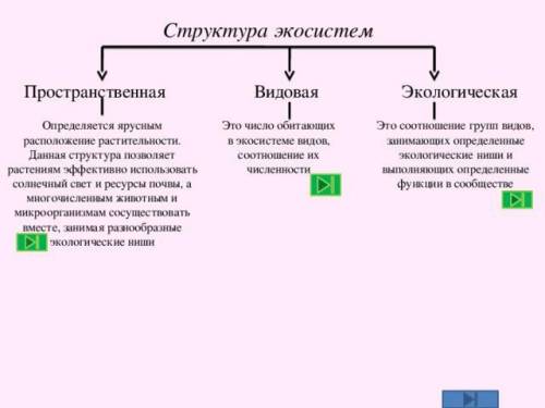 Скласти таблиця структура екосистеми