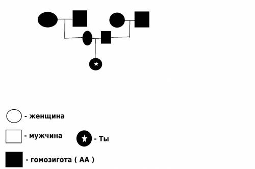 Составить генеалогическое древо, проанализировав свой генотип и генотип своих родителей, дедушек и б