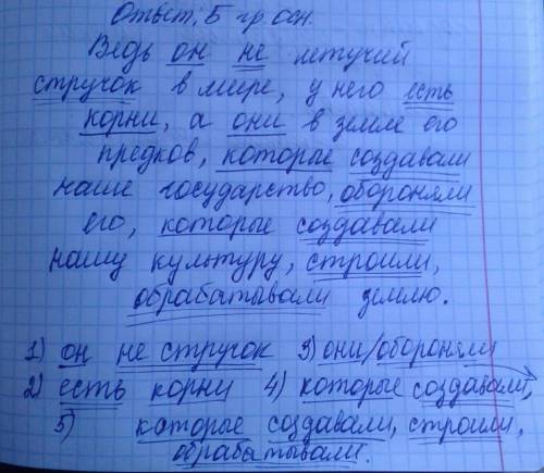 Сколько тут грамматических основ? Ведь он не летучий стручок в мире, у него есть корни, а они в земл