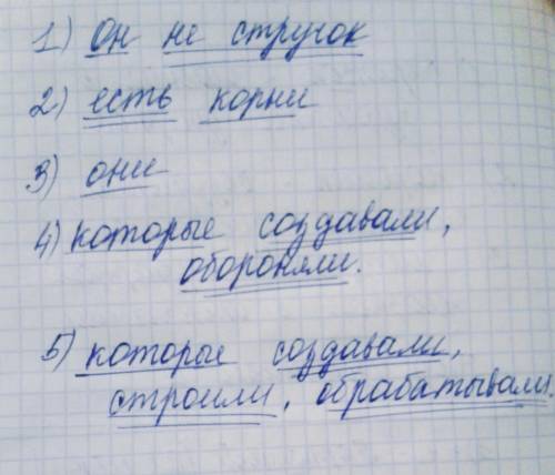 Сколько тут грамматических основ? Ведь он не летучий стручок в мире, у него есть корни, а они в земл