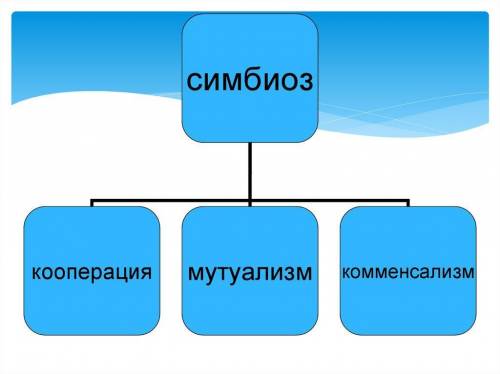 Анализ:1. Изобразите в виде схемы позитивные взаимоотношения, указав ихвиды и отобразив особенности