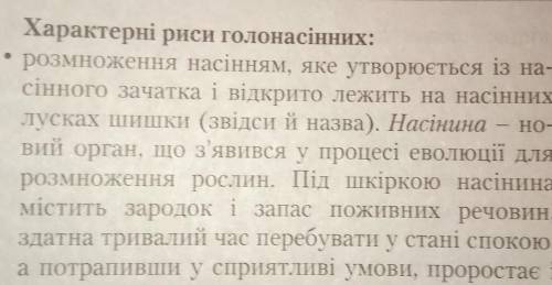 Чим розмножуються голонасінні рослини