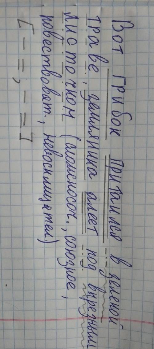 сделать синтаксический разбор. Вот грибок притаился в зеленой траве, земляника алеет под вырезным ли