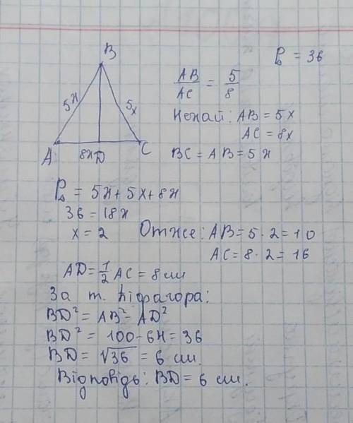Бічна сторона рівнобедреного трикутника відноситься до основи як 5:8 периметр трикутника дорівнює 36