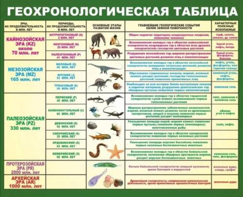 Биологические эры и их характерные особенности