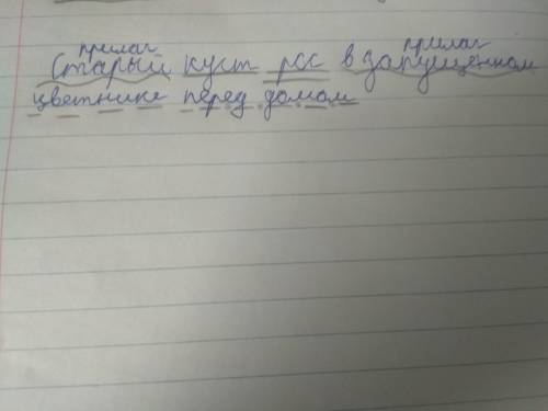 выполните синтаксический разбор: Старый куст рос в запущенном цветнике перед домом