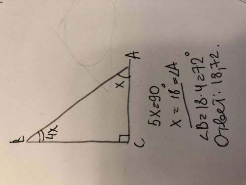 Один из острых углов прямоугольного треугольника в 4 раза меньше другого найдите эти углы