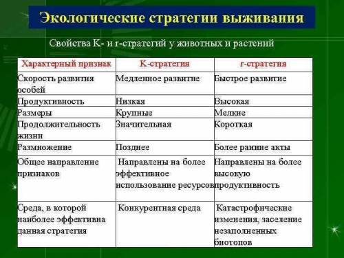 Какой вид стратегии выживания характерен для слонов Какие преимущества имеют это стратегия​