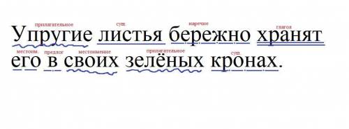 Упругие листья бережно хранят его в своих зелёных кронах. Синтаксический разбор