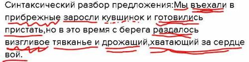 Синтаксический разбор предложения:Мы въехали в прибрежные заросли кувшинок и готовились пристать,но